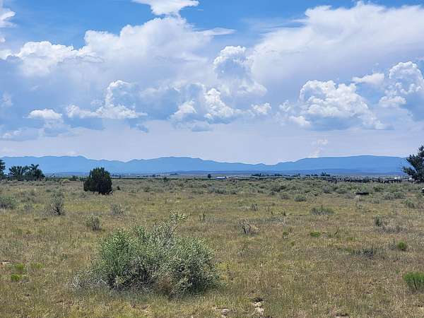 10 Acres of Land for Sale in Estancia, New Mexico