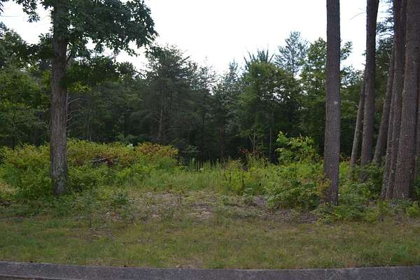 0.71 Acres of Residential Land for Sale in Dunlap, Tennessee