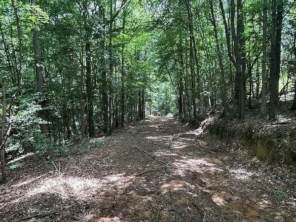 42 Acres of Recreational Land & Farm for Sale in Jones, Alabama