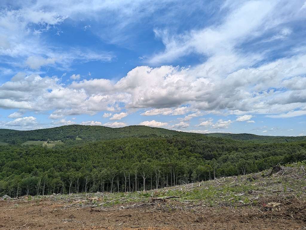 29.5 Acres of Recreational Land & Farm for Auction in Meadows of Dan, Virginia