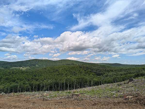 29.5 Acres of Recreational Land & Farm for Auction in Meadows of Dan, Virginia