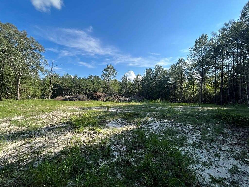 23.9 Acres of Recreational Land for Sale in Shubuta, Mississippi