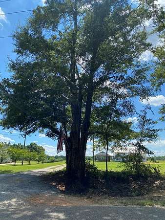 16 Acres of Land for Sale in Dothan, Alabama