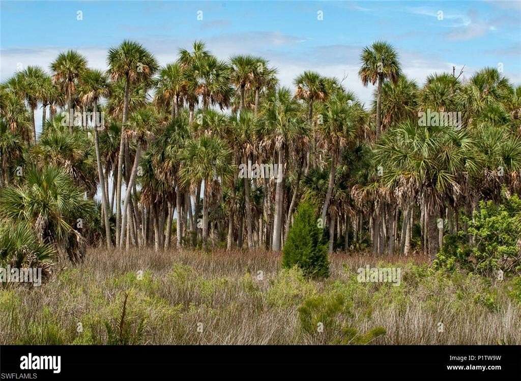 2.25 Acres of Land for Sale in Naples, Florida