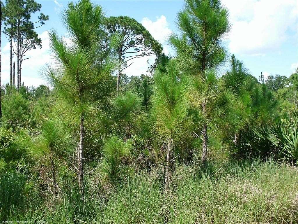 0.23 Acres of Residential Land for Sale in Sebring, Florida