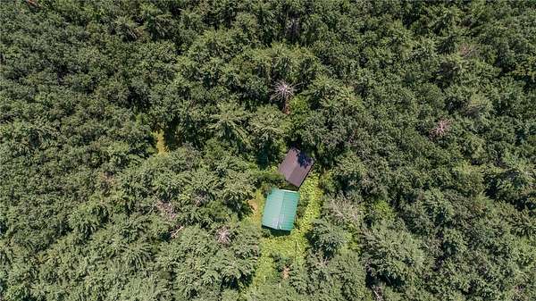 19.5 Acres of Recreational Land for Sale in Couderay, Wisconsin