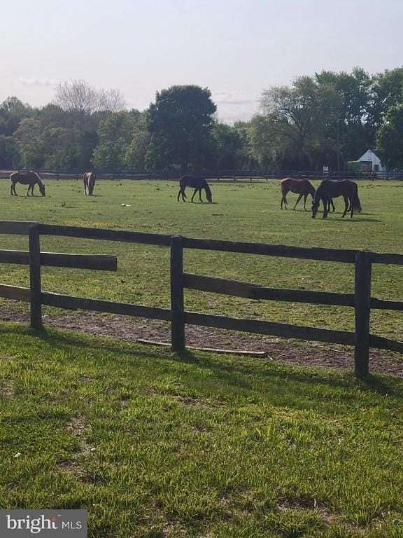 115 Acres of Improved Land for Sale in New Egypt, New Jersey