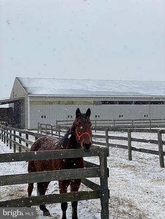 2.74 Acres of Residential Land with Home for Sale in New Egypt, New Jersey