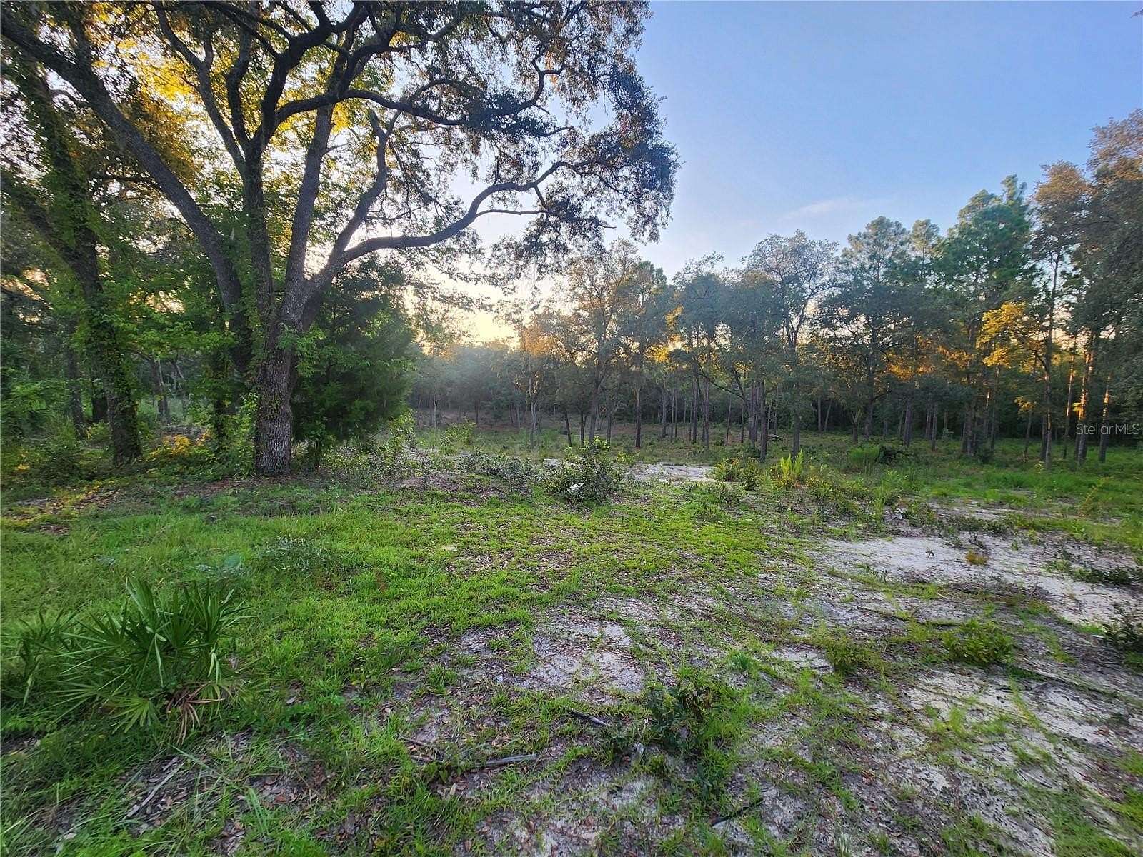 1.25 Acres of Land for Sale in Bronson, Florida