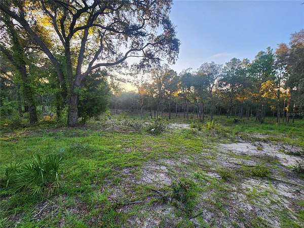 1.25 Acres of Land for Sale in Bronson, Florida