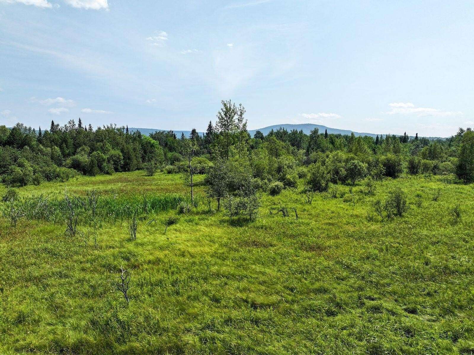 45.1 Acres of Recreational Land for Sale in Ellenburg Depot, New York