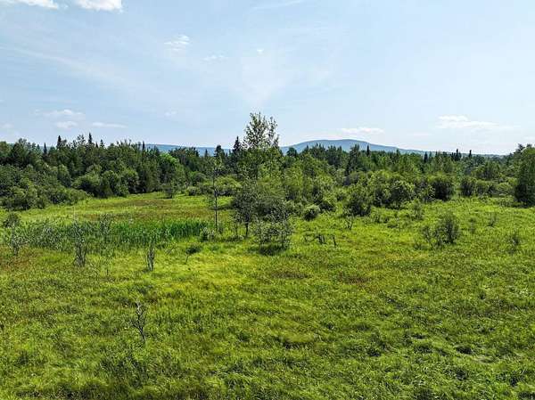 45.1 Acres of Recreational Land for Sale in Ellenburg Depot, New York