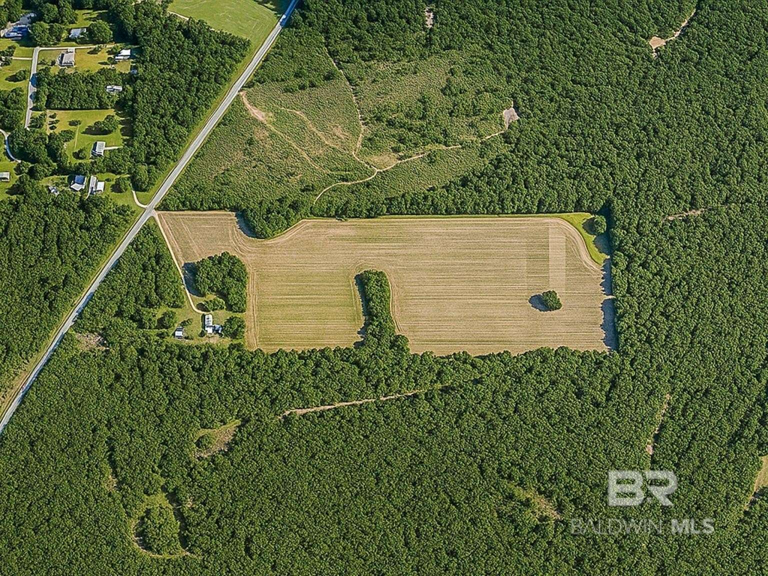 61 Acres of Mixed-Use Land for Sale in Loxley, Alabama