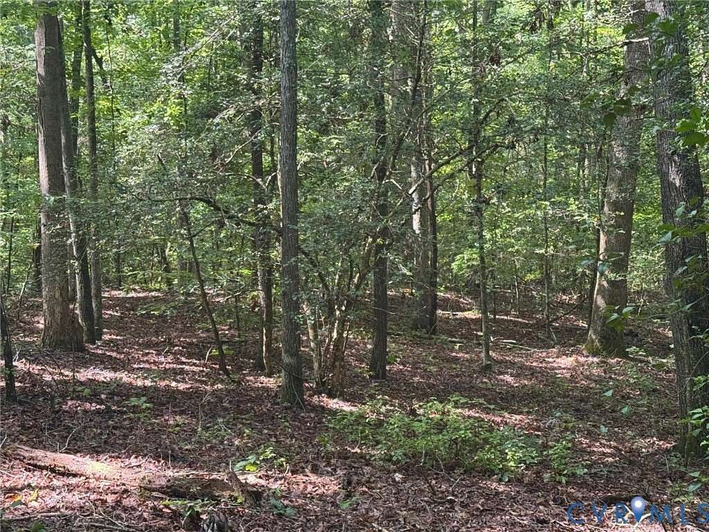 11 Acres of Land for Sale in Tappahannock, Virginia