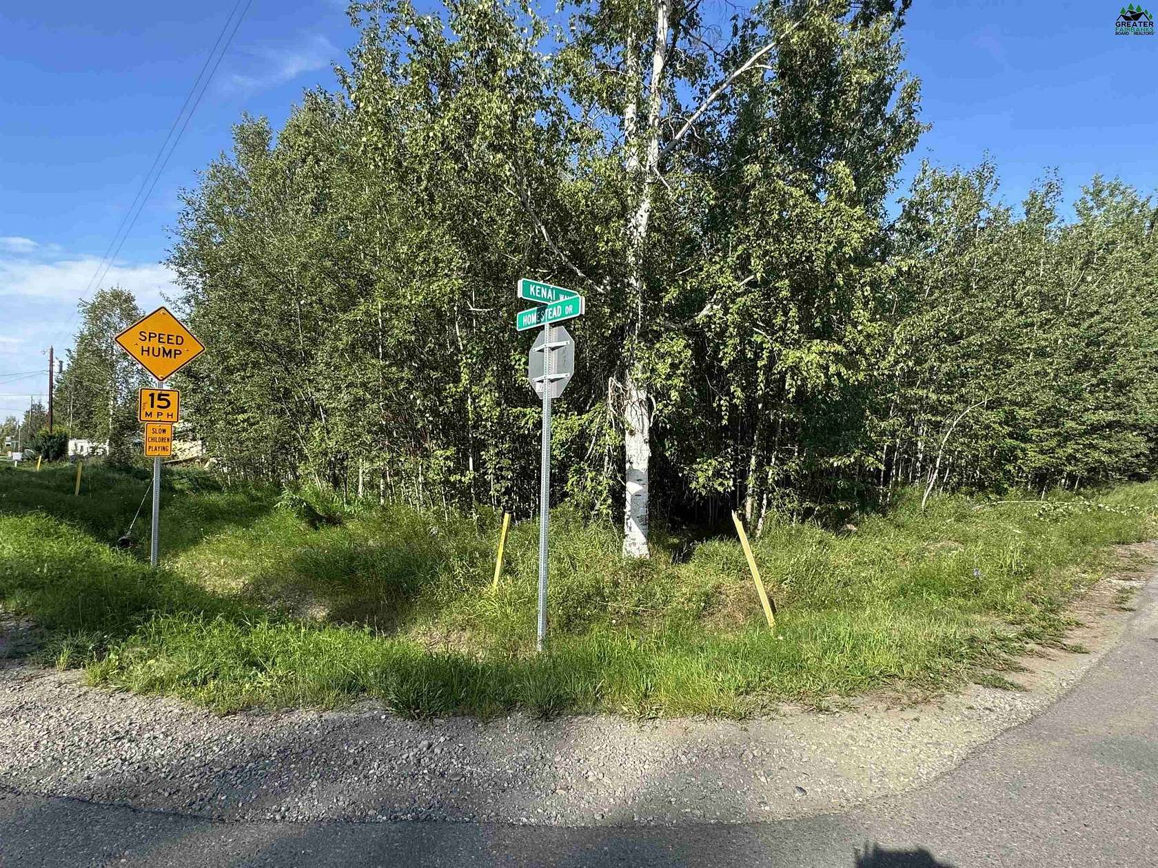 0.46 Acres of Residential Land for Sale in North Pole, Alaska