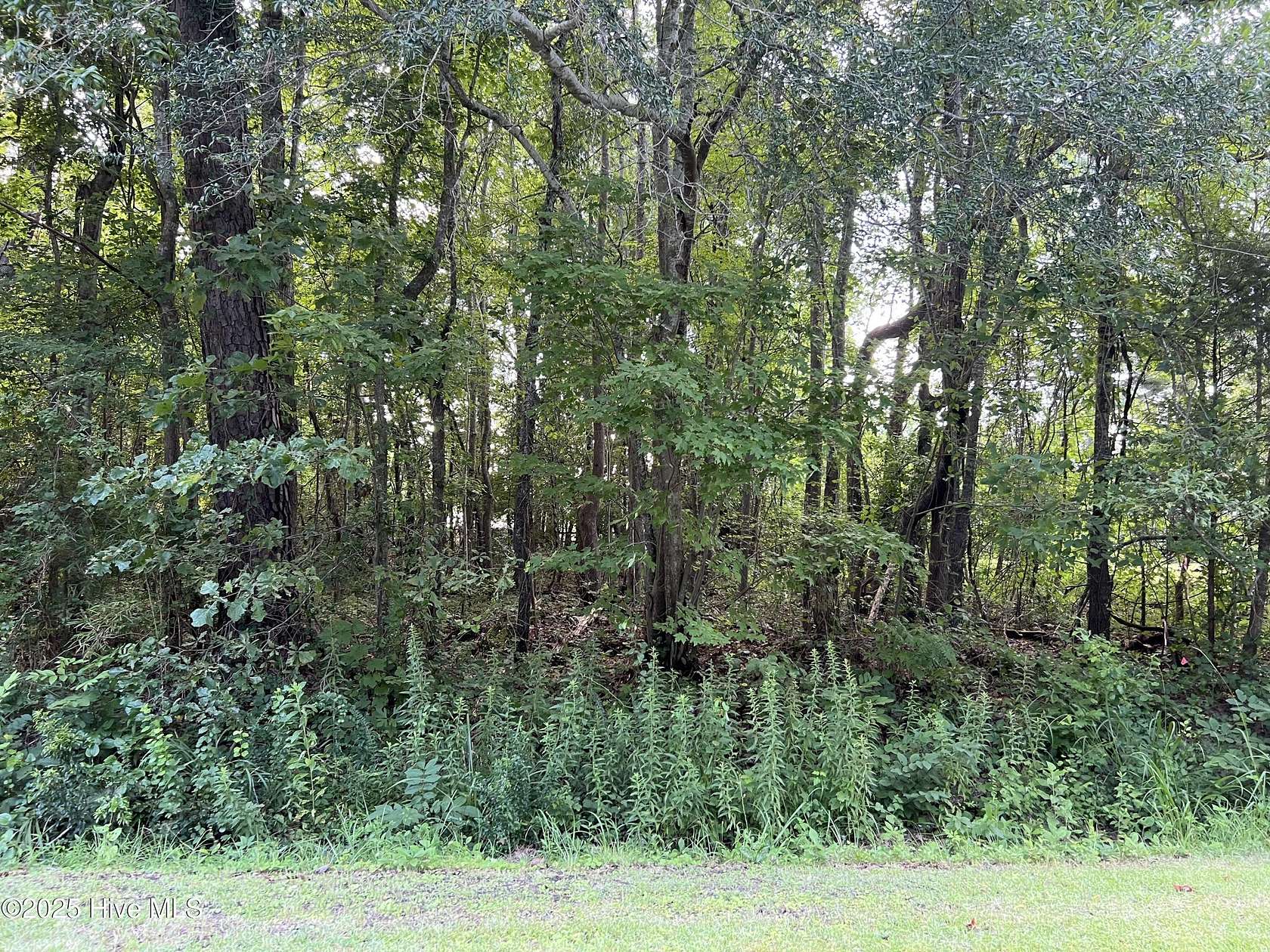 0.35 Acres of Residential Land for Sale in Edenton, North Carolina
