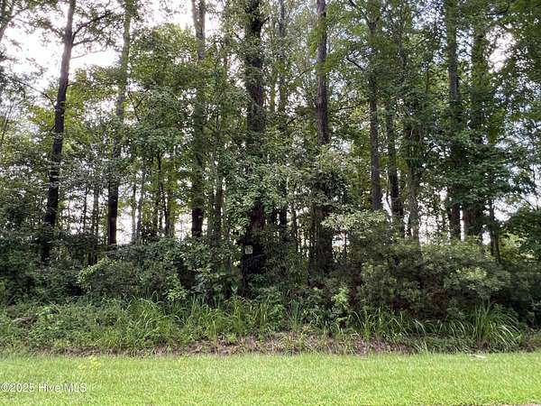 0.33 Acres of Residential Land for Sale in Edenton, North Carolina