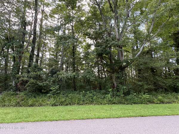 0.35 Acres of Residential Land for Sale in Edenton, North Carolina