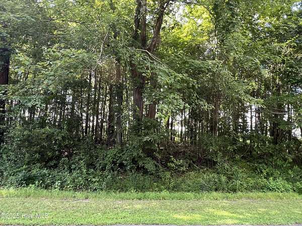 0.35 Acres of Residential Land for Sale in Edenton, North Carolina