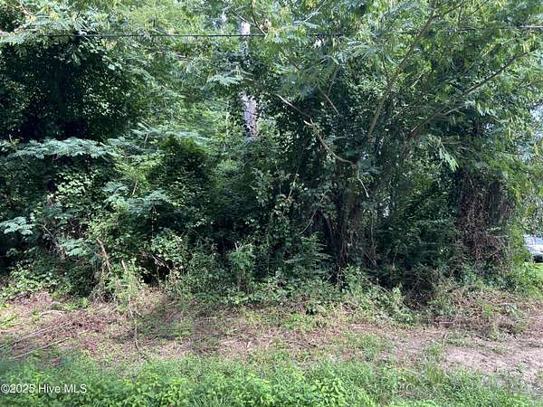 0.35 Acres of Residential Land for Sale in Edenton, North Carolina