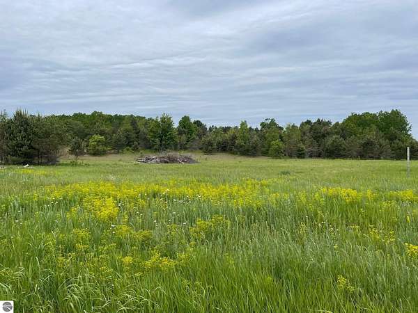 9.83 Acres of Residential Land for Sale in Kalkaska, Michigan