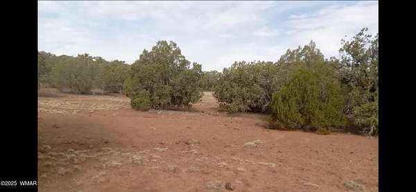 10.2 Acres of Land for Sale in Show Low, Arizona