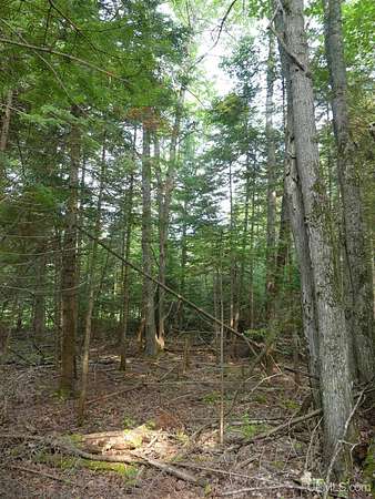 8 2 Acres of Residential Land for - Grand Marais Mi 145958944