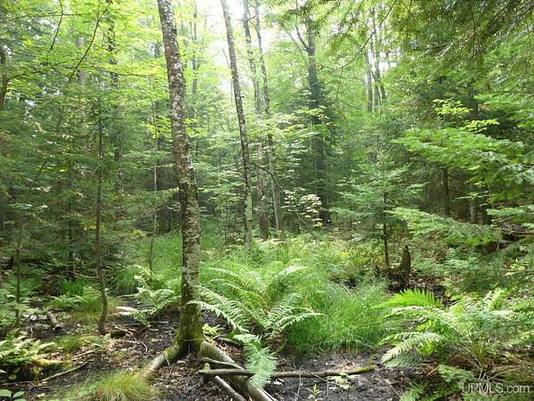 8 2 Acres of Residential Land for - Grand Marais Mi 145958947