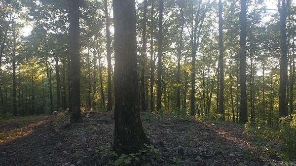 5 Acres of Residential Land for Sale in Glenwood, Arkansas