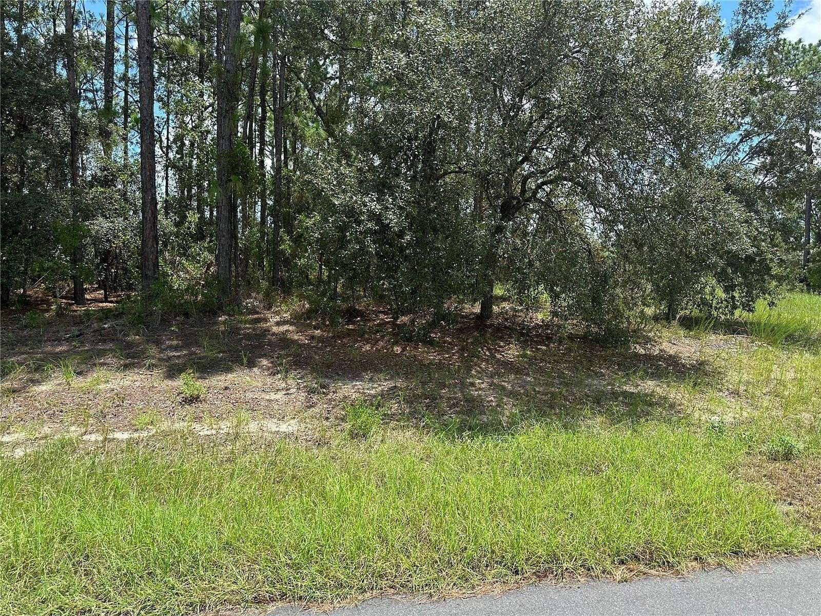 0.24 Acres of Residential Land for Sale in Ocala, Florida