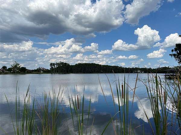 3.23 Acres of Residential Land for Sale in Odessa, Florida