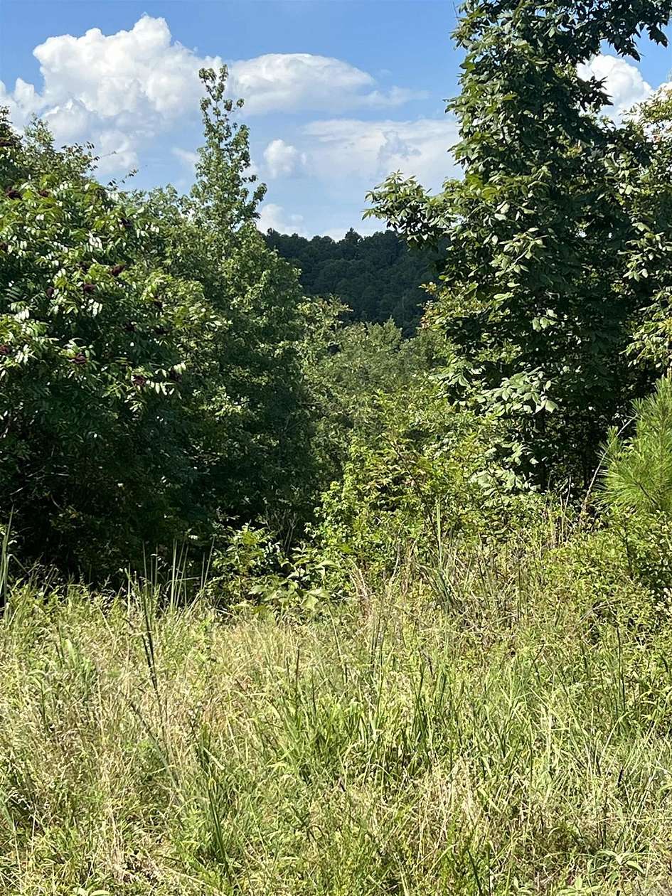 11.5 Acres of Land for Sale in Amity, Arkansas