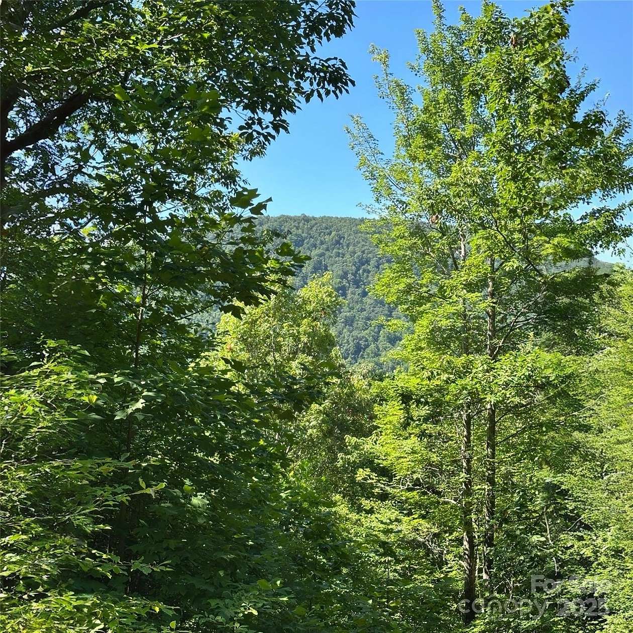 3.13 Acres of Residential Land for Sale in Black Mountain, North Carolina