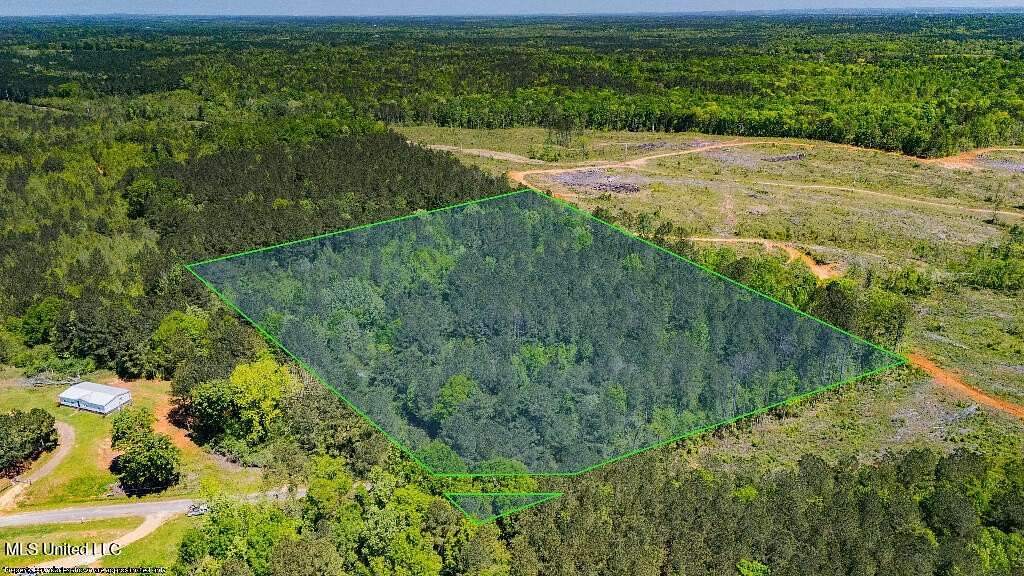 11 Acres of Land for Sale in Raleigh, Mississippi