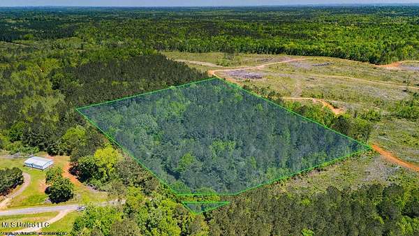 11 Acres of Land for Sale in Raleigh, Mississippi