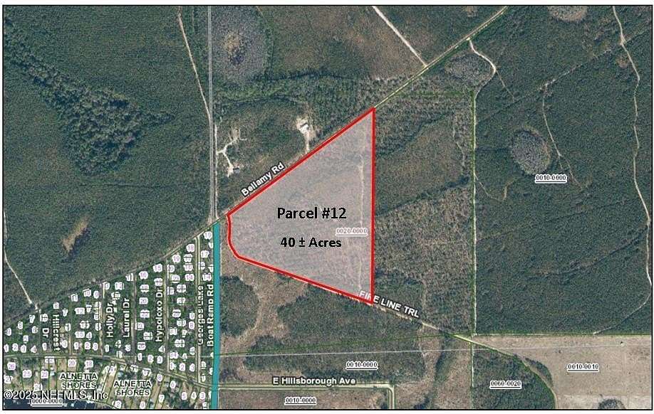 40 Acres of Recreational Land for Sale in Florahome, Florida