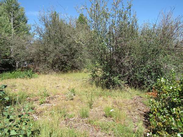 0.23 Acres of Land for Sale in Chiloquin, Oregon