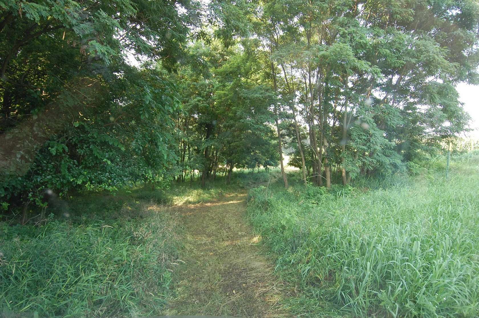 45 Acres of Land for Sale in Richland Center, Wisconsin