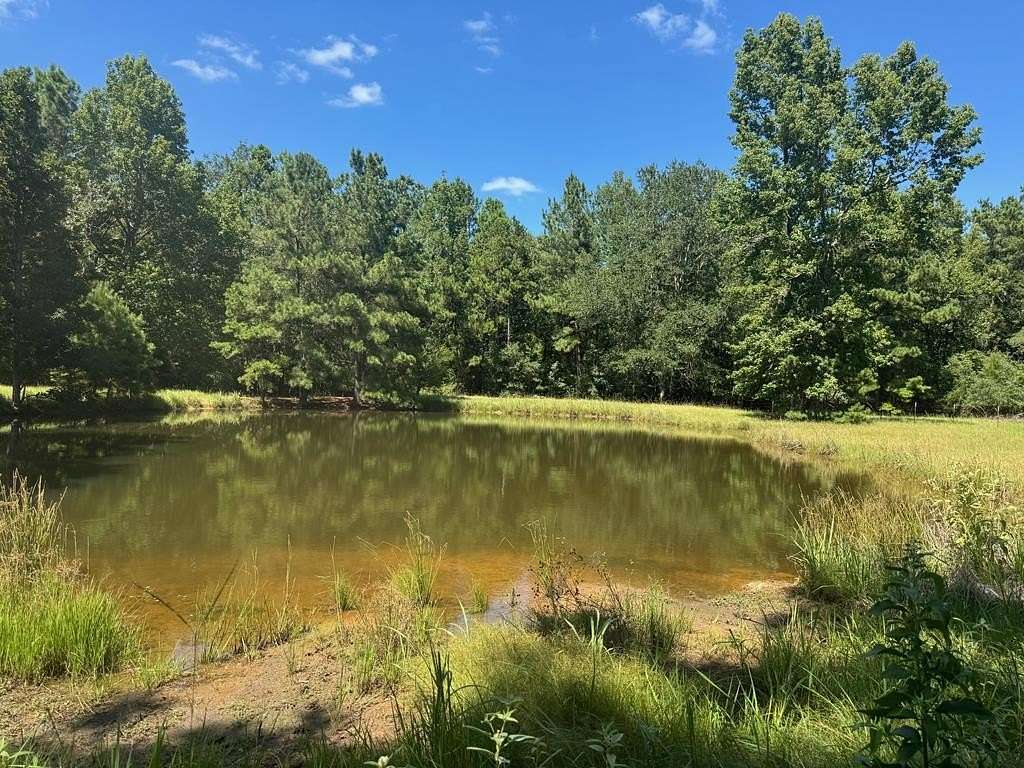 21 Acres of Recreational Land with Home for Sale in Ratcliff, Texas