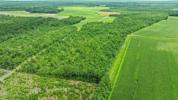 39.2 Acres of Recreational Land for Sale in Garland, North Carolina