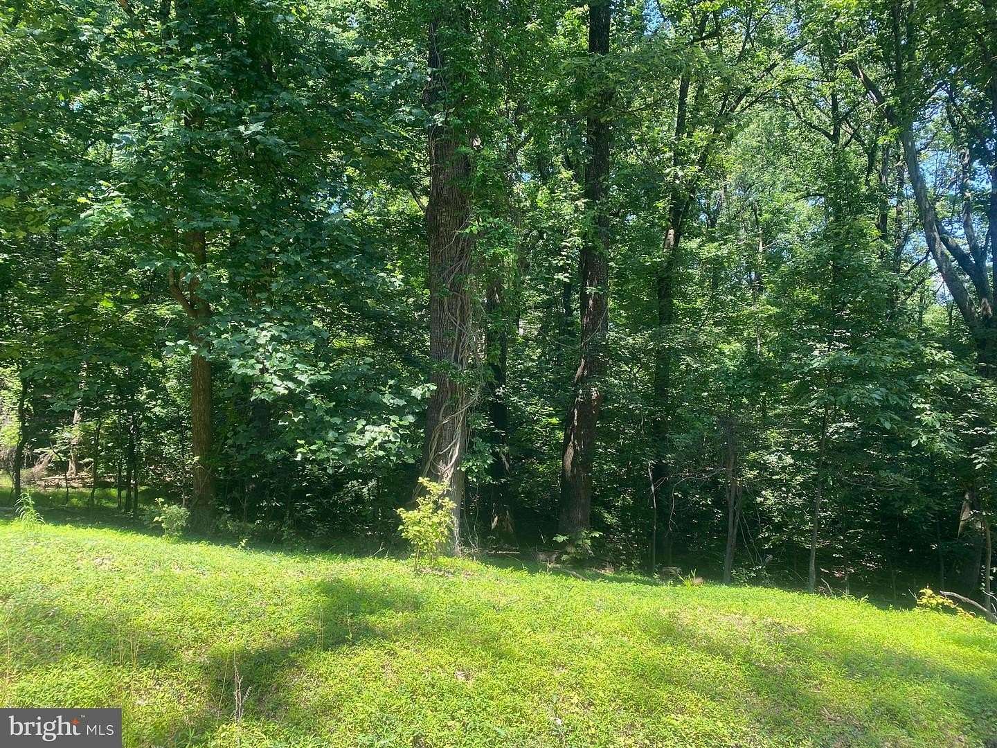 0.14 Acres of Land for Sale in Bluemont, Virginia