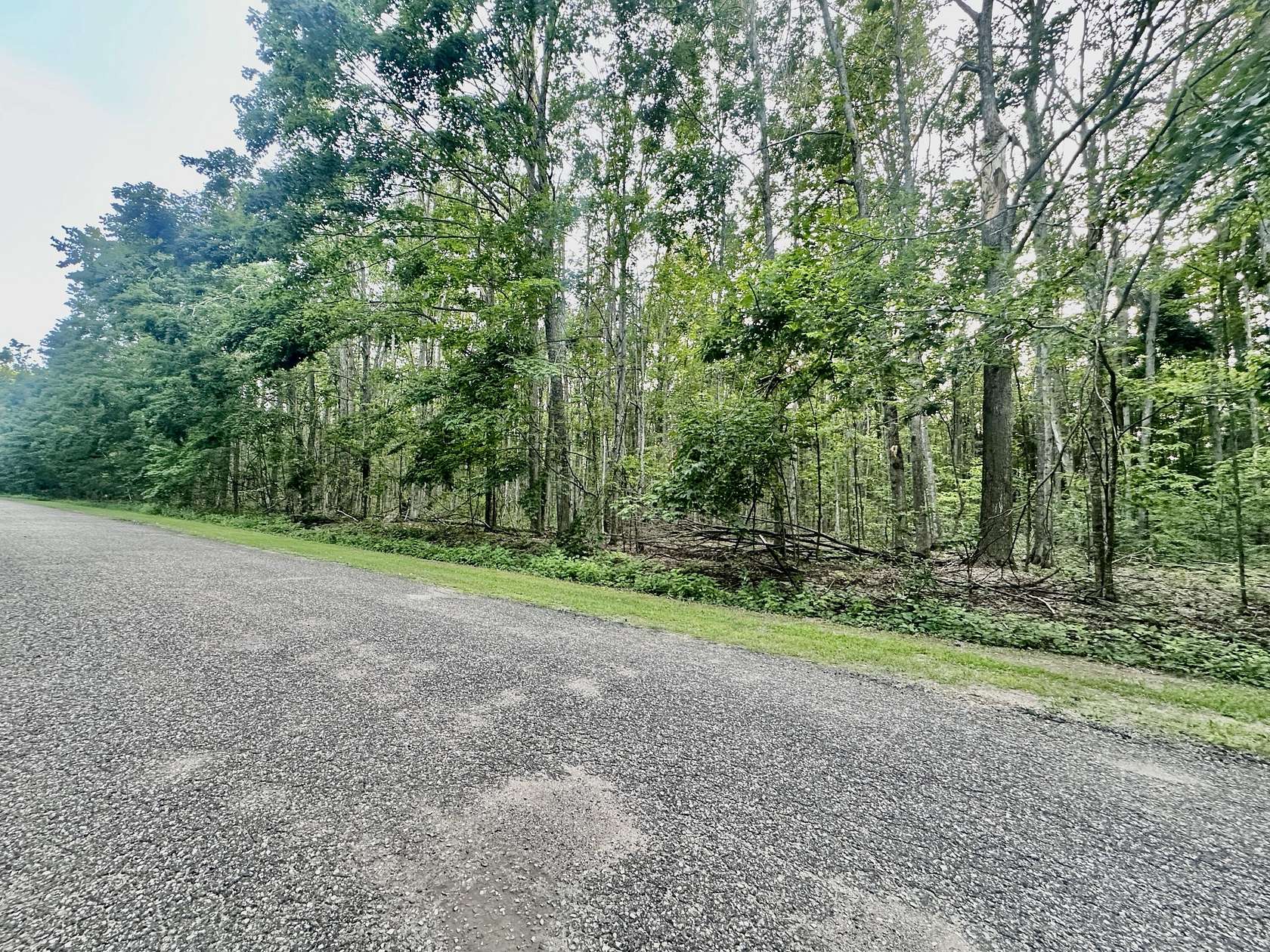 Land for Sale in Elmira, Michigan