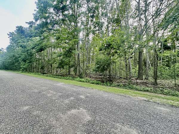 Land for Sale in Elmira, Michigan