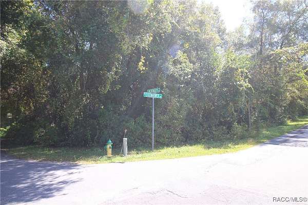 1.2 Acres of Residential Land for Sale in Hernando, Florida