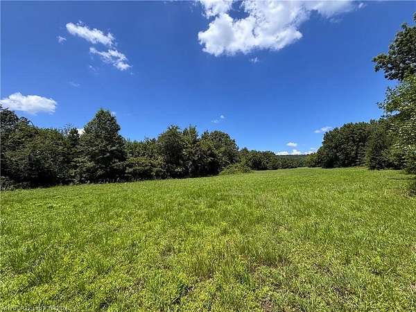 34 Acres of Land for Sale in Hackett, Arkansas