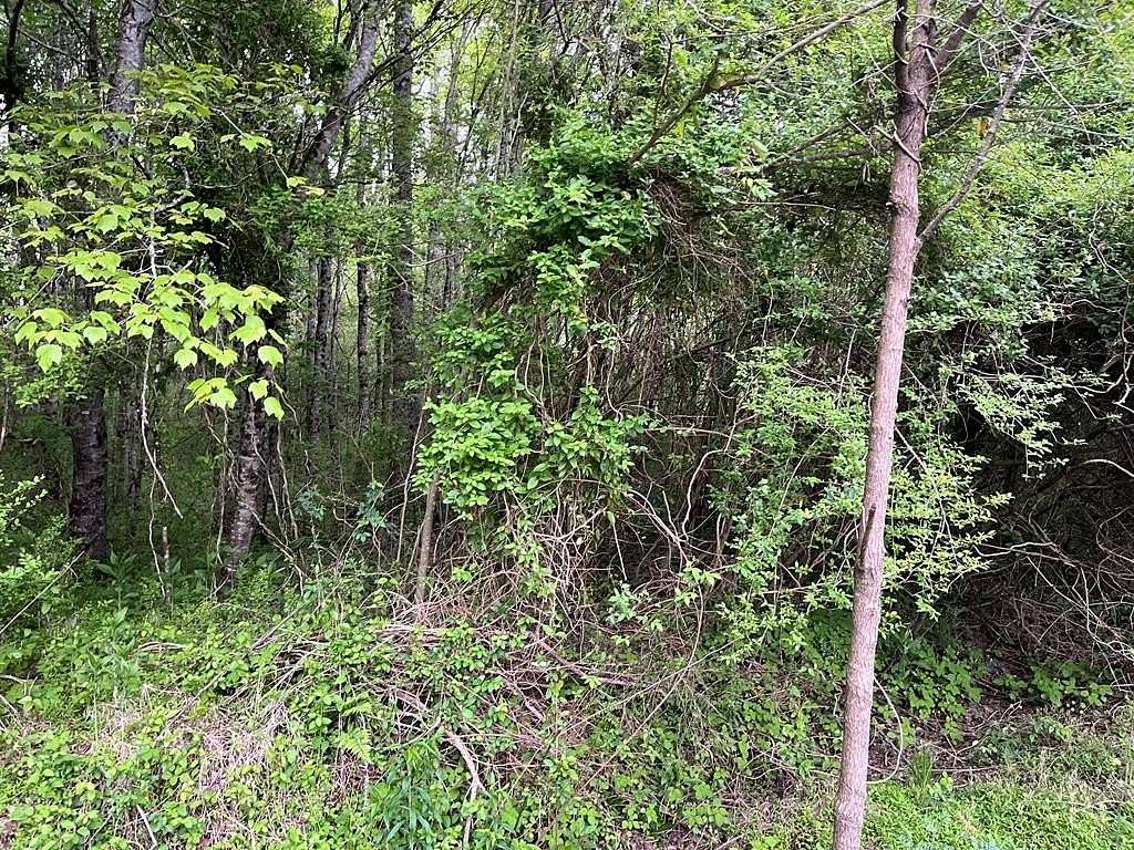 1.74 Acres of Residential Land for Sale in Hayesville, North Carolina