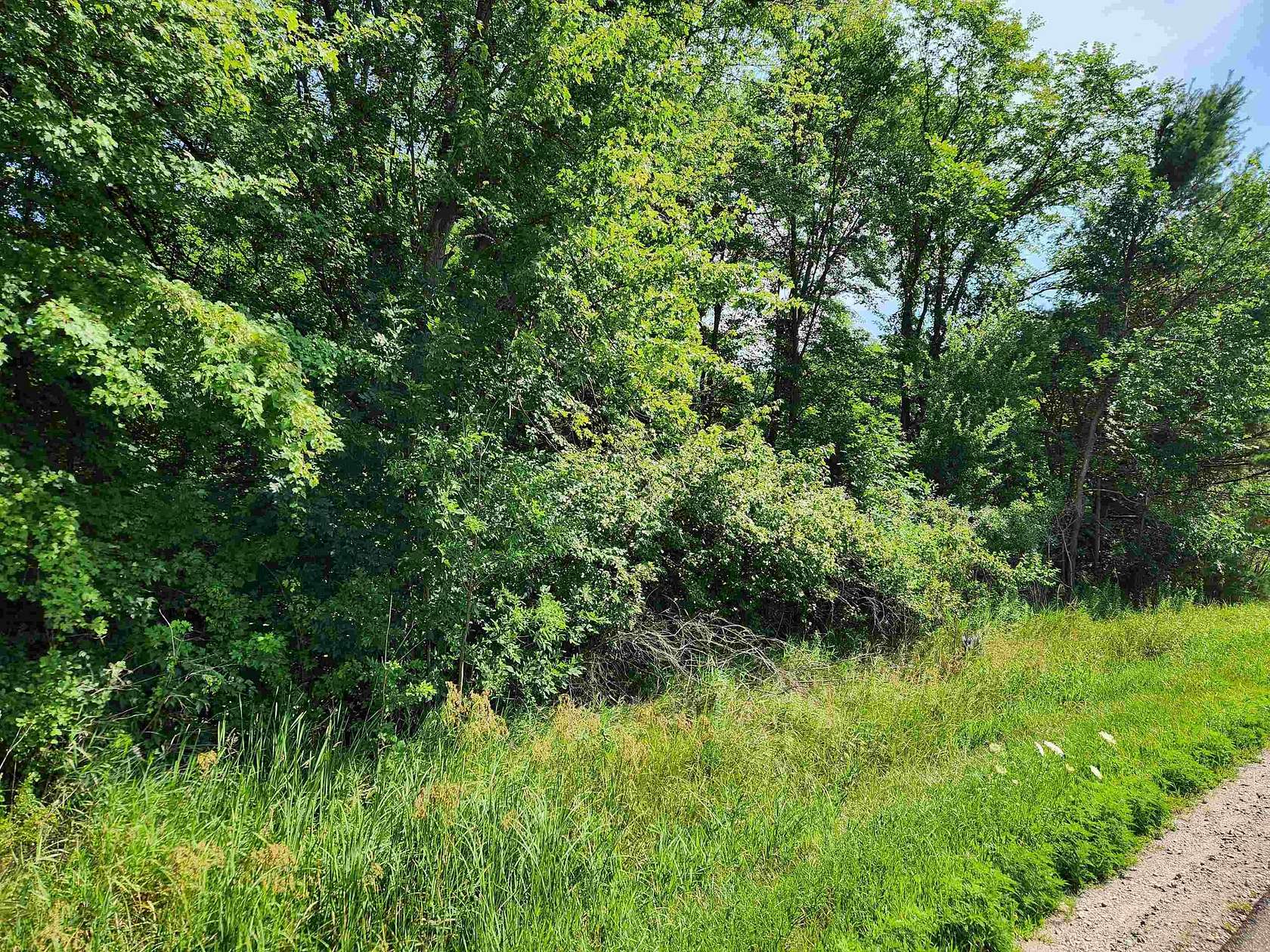 10 Acres of Recreational & Residential Land for Sale in Beaverton, Michigan