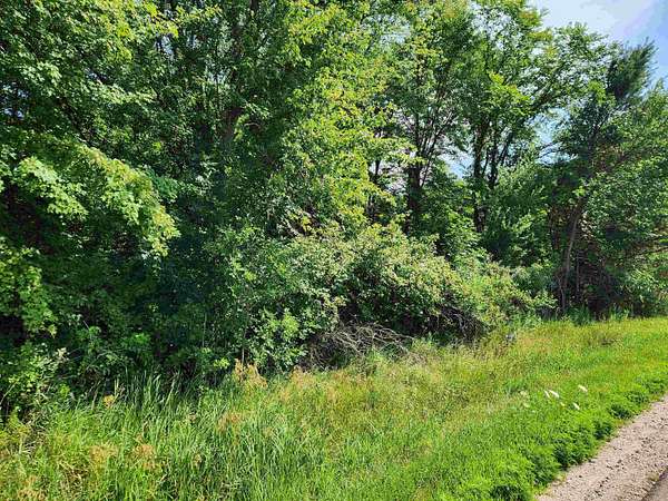 10 Acres of Recreational & Residential Land for Sale in Beaverton, Michigan