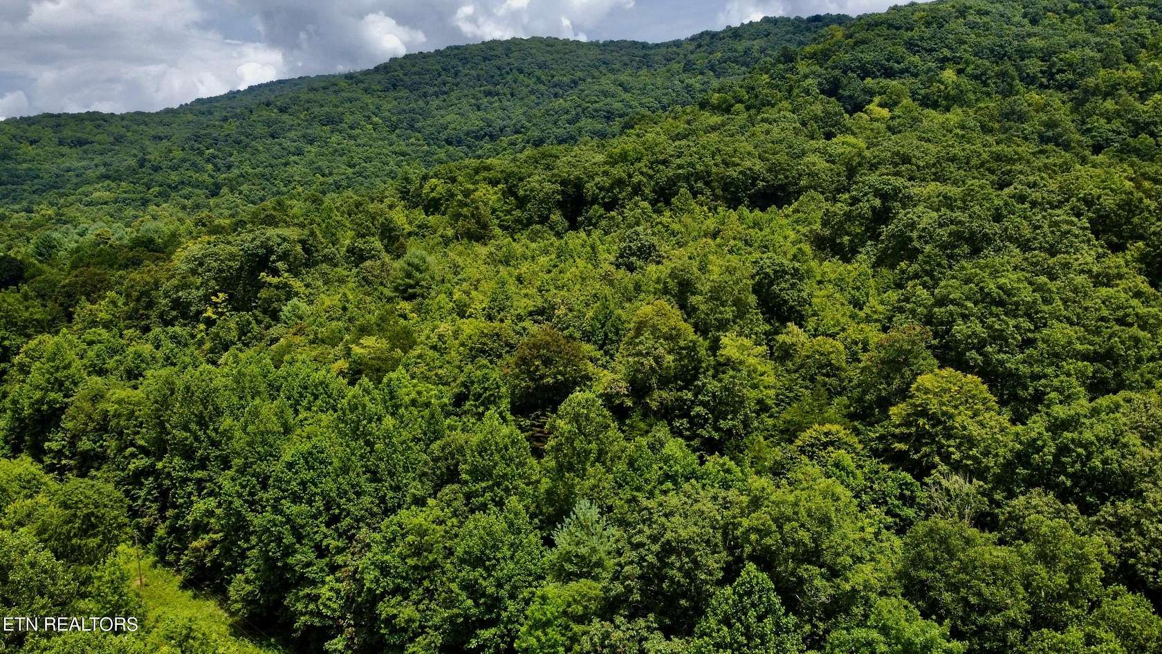 49.6 Acres of Recreational Land for Sale in Pioneer, Tennessee