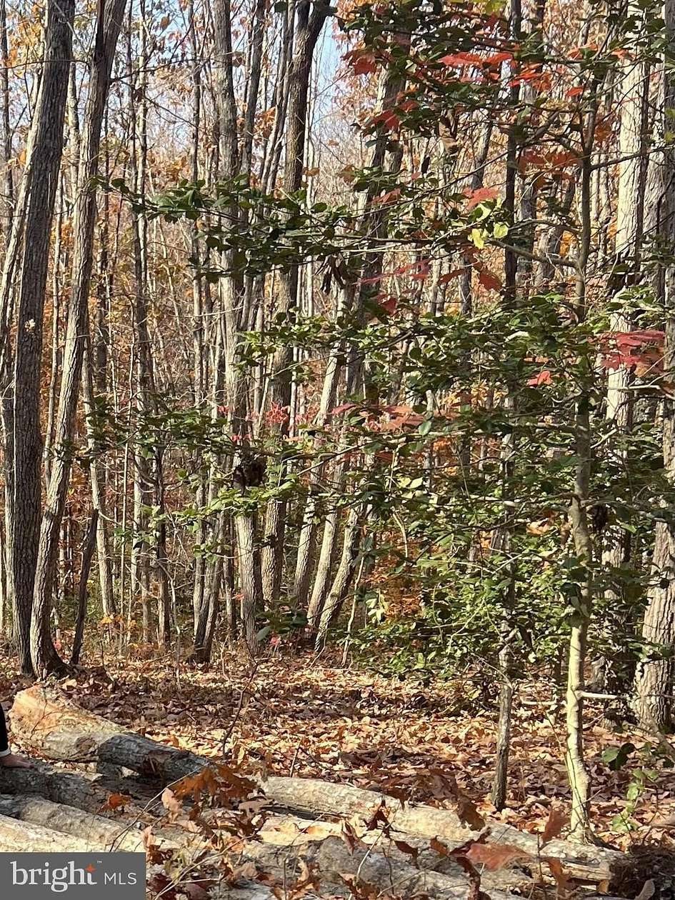 7.25 Acres of Residential Land for Sale in Midland, Virginia